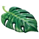 PALM LEAF FLOAT