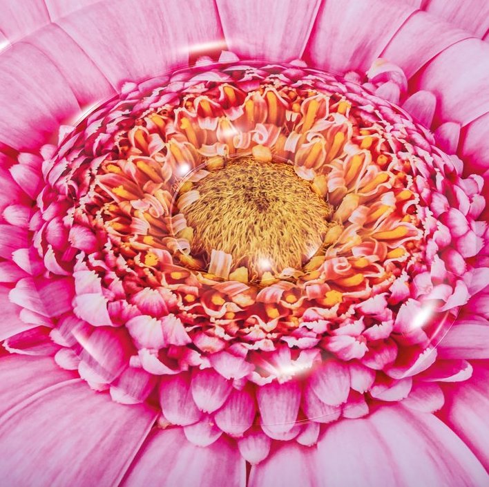 PINK DAISY FLOWER FLOAT