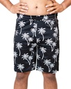 PALM SHORTS