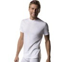 HANES 5PK TAGLESS TEES