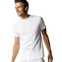 HANES 3PK TAGLESS TEES