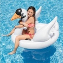 SWAN RIDE ON