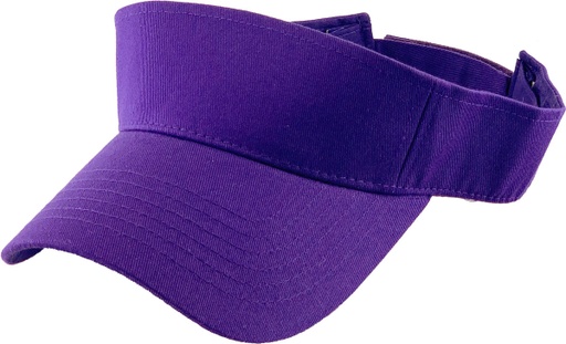 [KBM-004-PURP] SUN VISOR